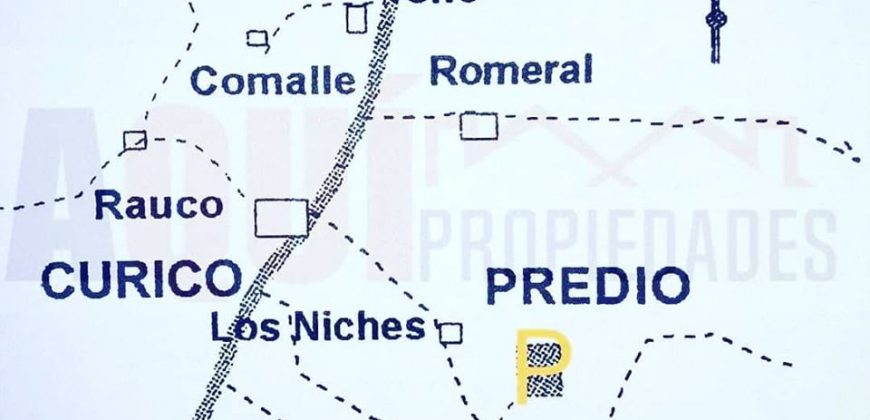 Proyecto Ecológico «Los Niches»